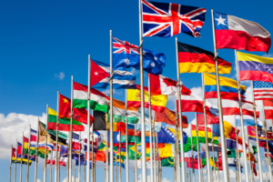 5. Fully Bilingual Expertise for International Markets